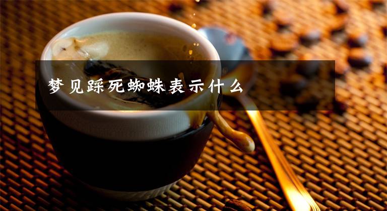 梦见踩死蜘蛛表示什么