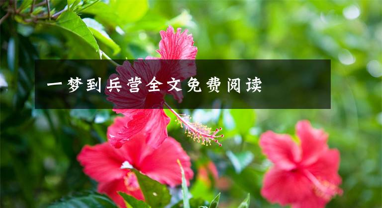 一梦到兵营全文免费阅读