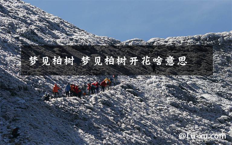 梦见柏树 梦见柏树开花啥意思