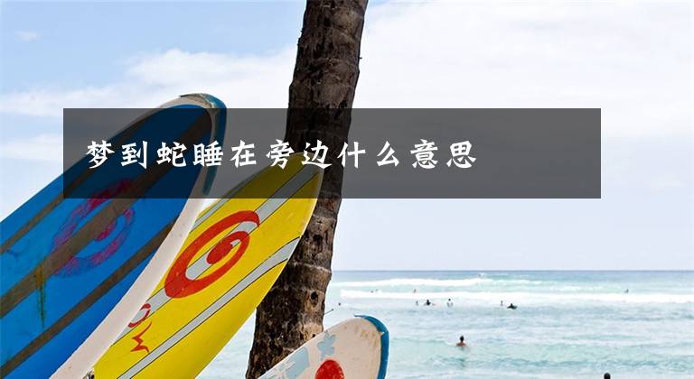 梦到蛇睡在旁边什么意思