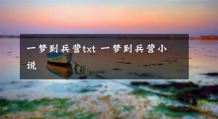 一梦到兵营txt 一梦到兵营小说