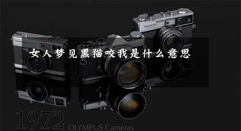 女人梦见黑猫咬我是什么意思