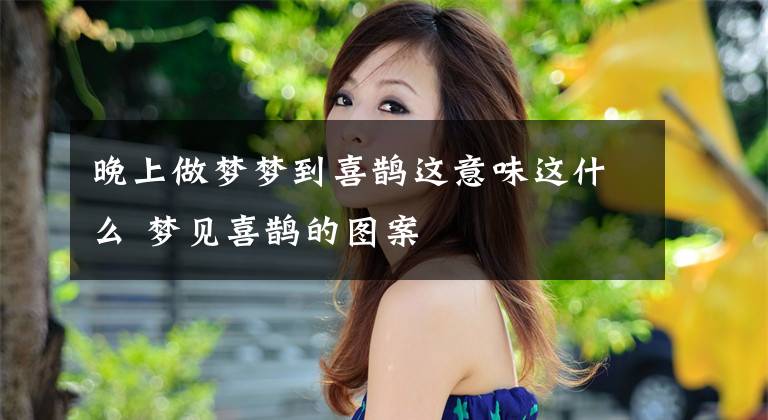 晚上做梦梦到喜鹊这意味这什么 梦见喜鹊的图案