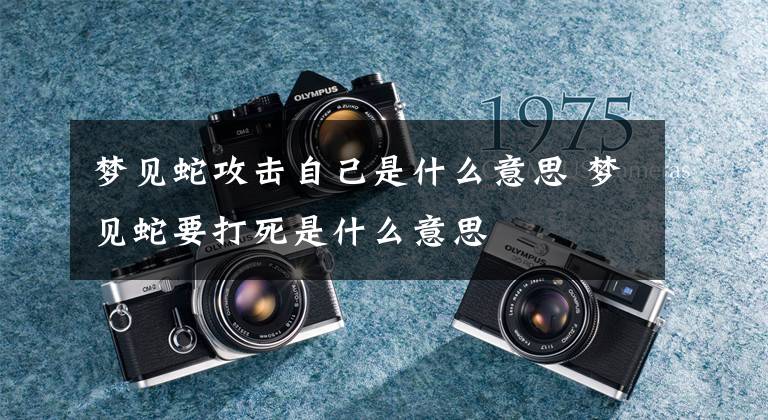 梦见蛇攻击自己是什么意思 梦见蛇要打死是什么意思