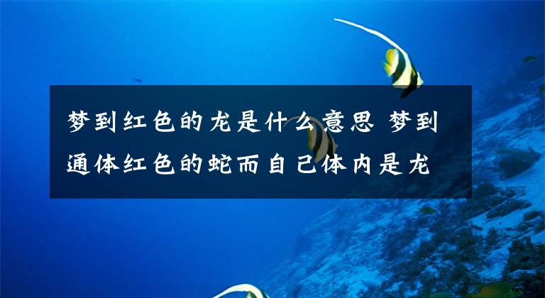 梦到红色的龙是什么意思 梦到通体红色的蛇而自己体内是龙