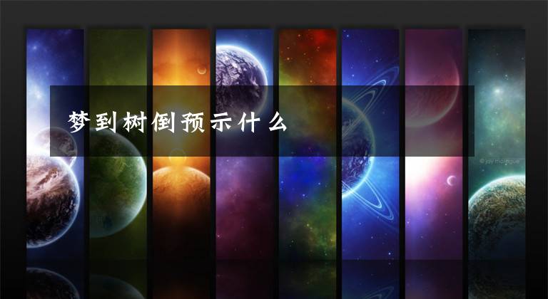 梦到树倒预示什么