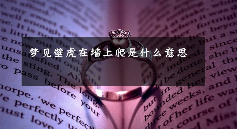 梦见壁虎在墙上爬是什么意思