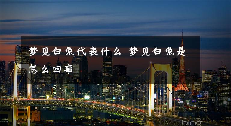 梦见白兔代表什么 梦见白兔是怎么回事