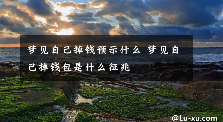 梦见自己掉钱预示什么 梦见自己掉钱包是什么征兆