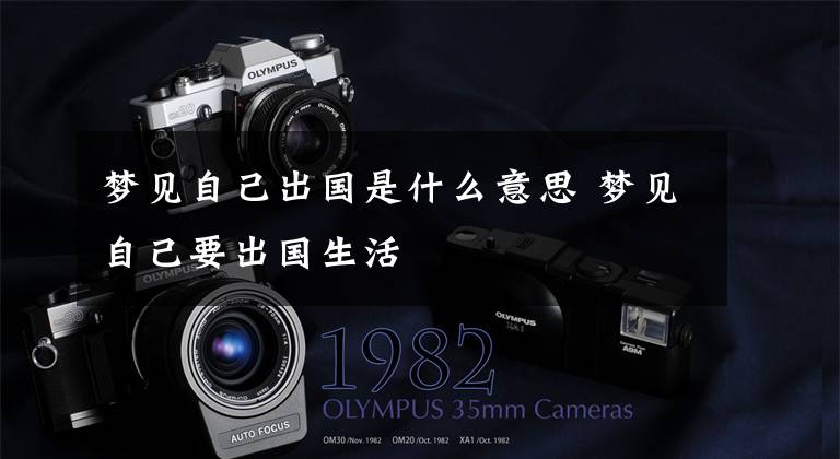 梦见自己出国是什么意思 梦见自己要出国生活