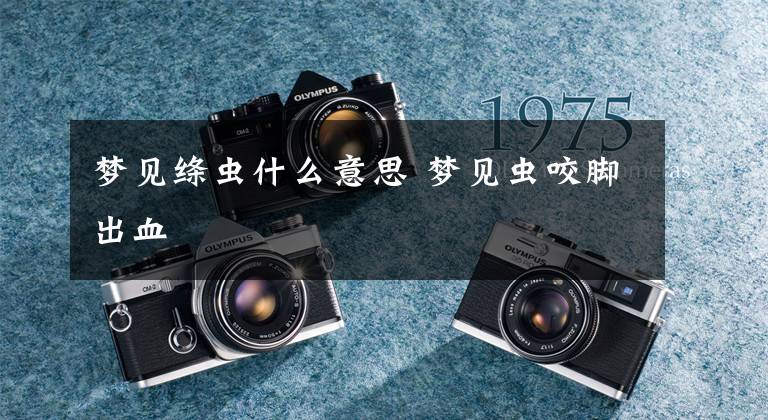 梦见绦虫什么意思 梦见虫咬脚出血