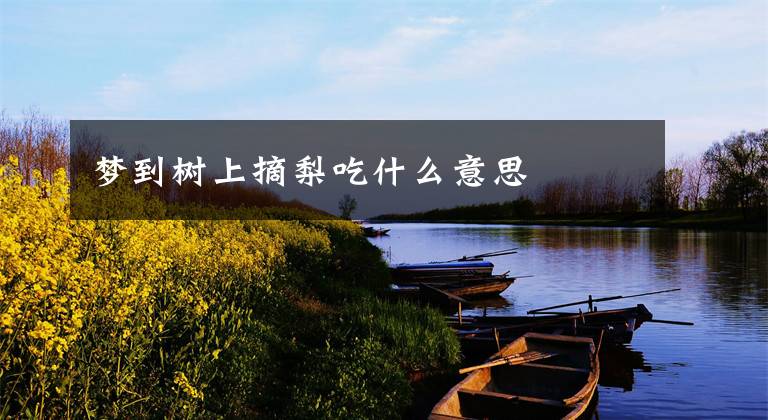 梦到树上摘梨吃什么意思
