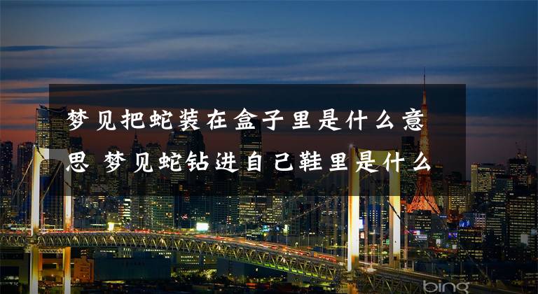 梦见把蛇装在盒子里是什么意思 梦见蛇钻进自己鞋里是什么意思