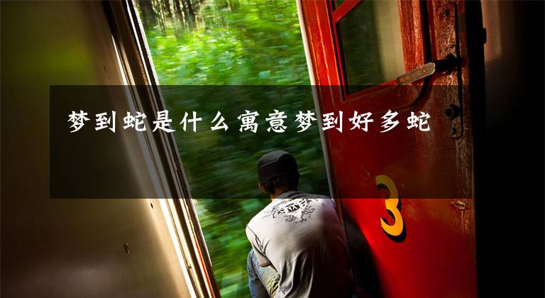 梦到蛇是什么寓意梦到好多蛇