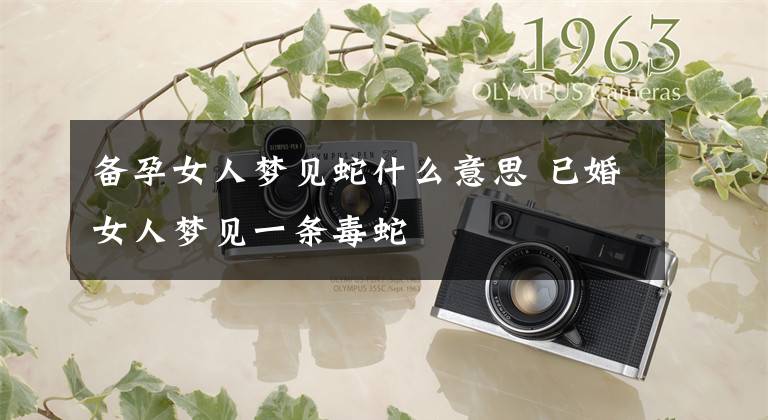 备孕女人梦见蛇什么意思 已婚女人梦见一条毒蛇