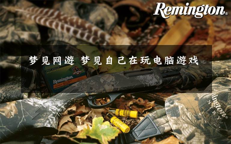 梦见网游 梦见自己在玩电脑游戏