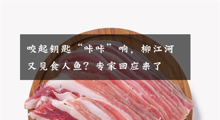 咬起钥匙“咔咔”响,柳江河又见食人鱼?专家回应来了