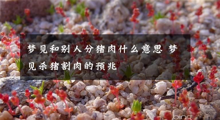 梦见和别人分猪肉什么意思 梦见杀猪割肉的预兆