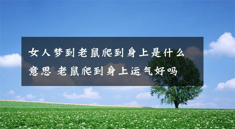 女人梦到老鼠爬到身上是什么意思 老鼠爬到身上运气好吗