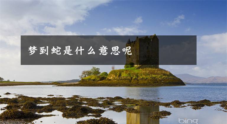 梦到蛇是什么意思呢