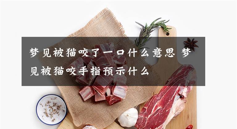 梦见被猫咬了一口什么意思 梦见被猫咬手指预示什么