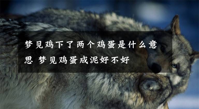 梦见鸡下了两个鸡蛋是什么意思 梦见鸡蛋成泥好不好