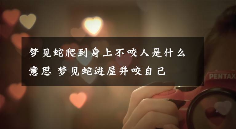 梦见蛇爬到身上不咬人是什么意思 梦见蛇进屋并咬自己