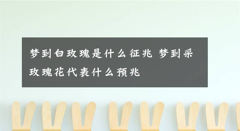 梦到白玫瑰是什么征兆 梦到采玫瑰花代表什么预兆