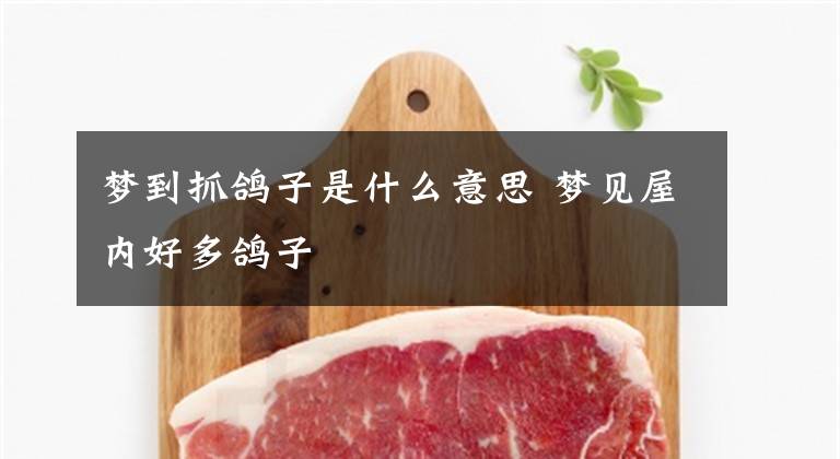 梦到抓鸽子是什么意思 梦见屋内好多鸽子