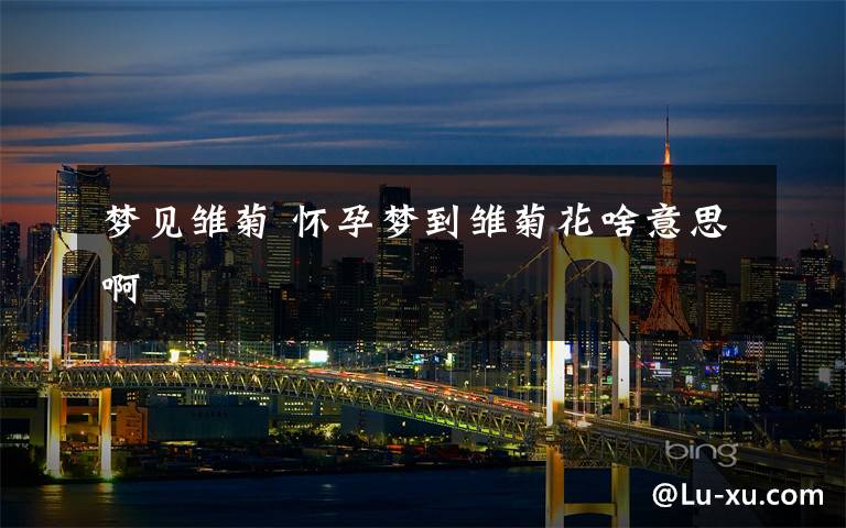 梦见雏菊 怀孕梦到雏菊花啥意思啊