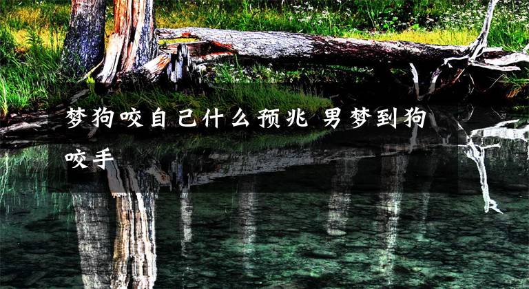 梦狗咬自己什么预兆 男梦到狗咬手