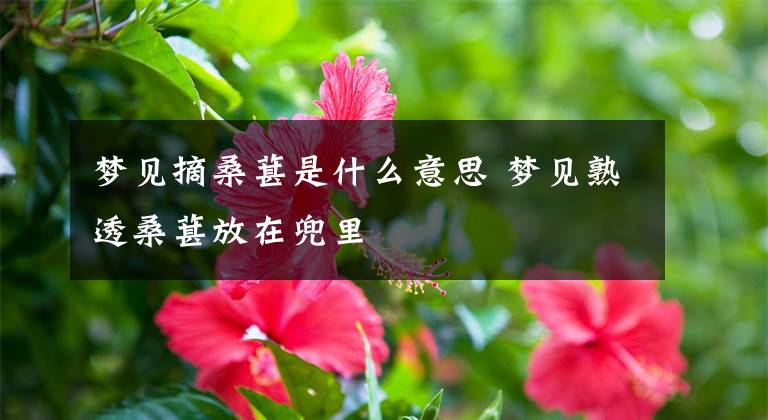 梦见摘桑葚是什么意思 梦见熟透桑葚放在兜里