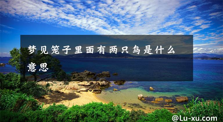 梦见笼子里面有两只鸟是什么意思