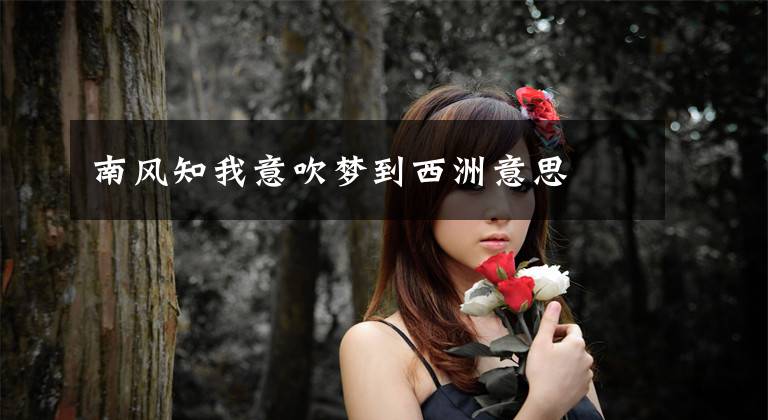 南风知我意吹梦到西洲意思