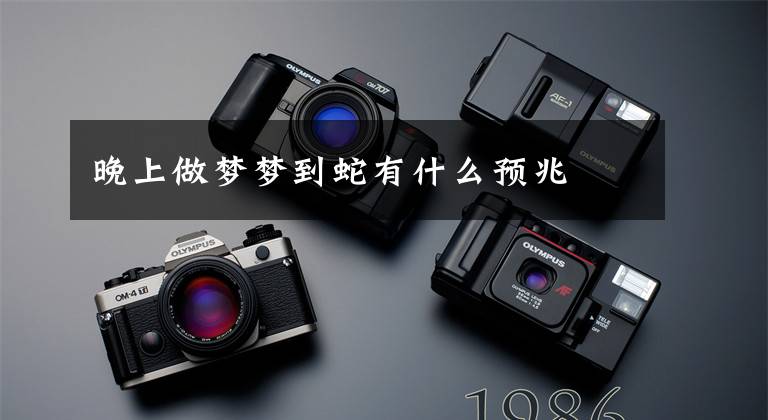 晚上做梦梦到蛇有什么预兆