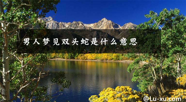 男人梦见双头蛇是什么意思