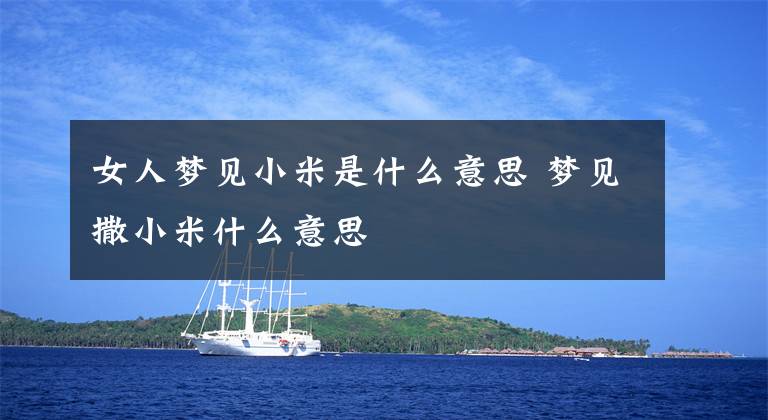 女人梦见小米是什么意思 梦见撒小米什么意思