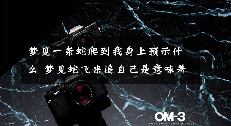 梦见一条蛇爬到我身上预示什么 梦见蛇飞来追自己是意味着什么