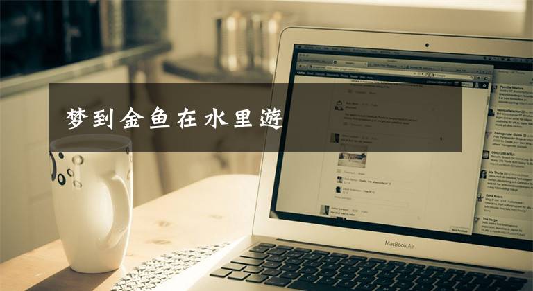 梦到金鱼在水里游