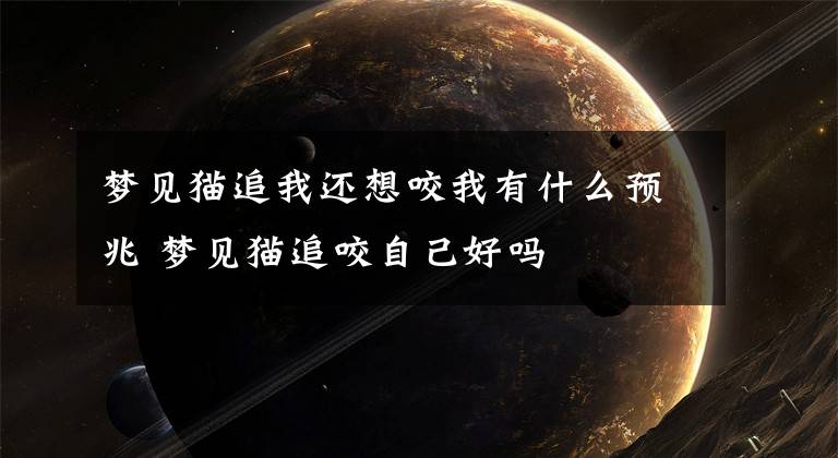 梦见猫追我还想咬我有什么预兆 梦见猫追咬自己好吗