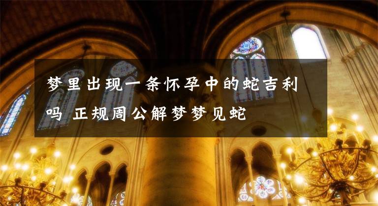 梦里出现一条怀孕中的蛇吉利吗 正规周公解梦梦见蛇