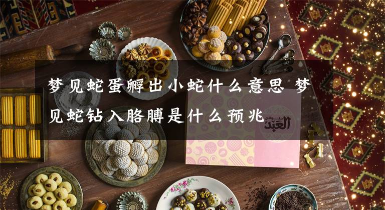 梦见蛇蛋孵出小蛇什么意思 梦见蛇钻入胳膊是什么预兆