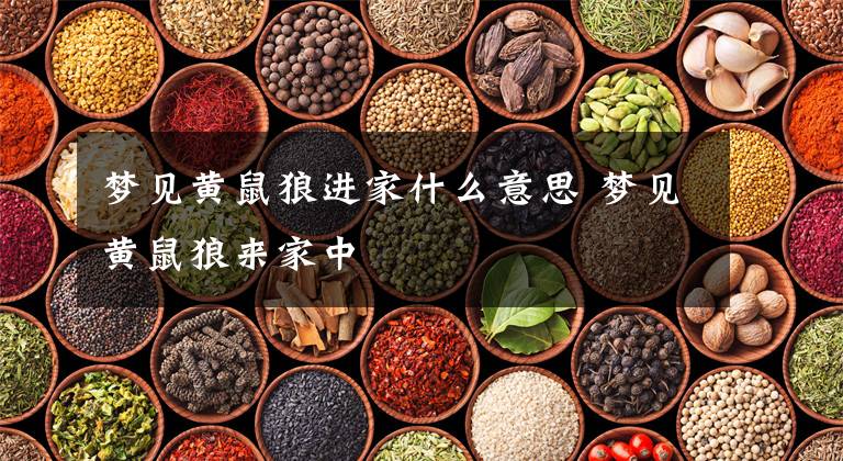 梦见黄鼠狼进家什么意思 梦见黄鼠狼来家中