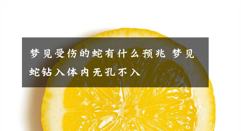 梦见受伤的蛇有什么预兆 梦见蛇钻入体内无孔不入
