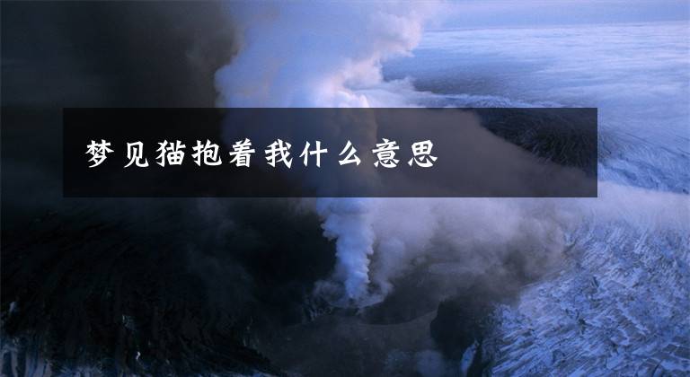 梦见猫抱着我什么意思