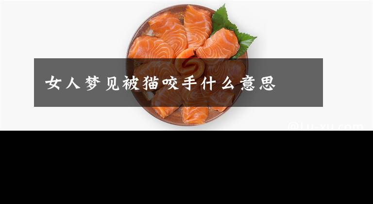 女人梦见被猫咬手什么意思