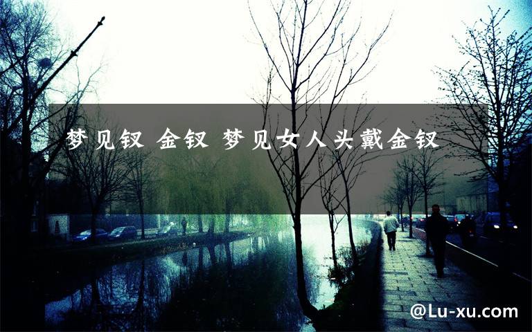 梦见钗 金钗 梦见女人头戴金钗