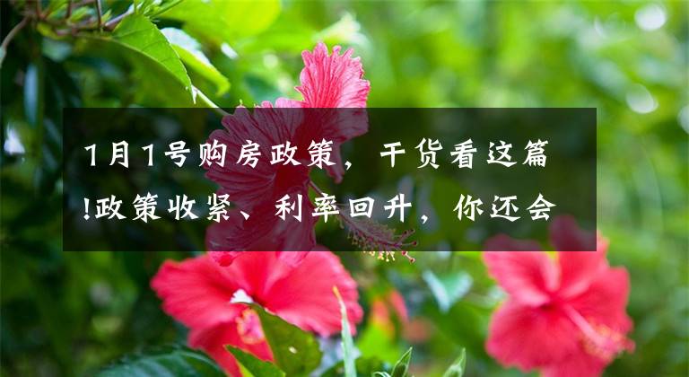 1月1号购房政策,干货看这篇!政策收紧、利率回升,你还会买房吗?1月百城置业调查结果出炉