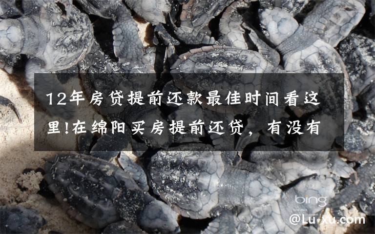 12年房贷提前还款最佳时间看这里!在绵阳买房提前还贷,有没有“还贷最佳时间点”?