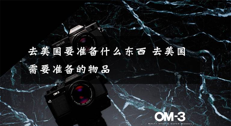 去美国要准备什么东西 去美国需要准备的物品